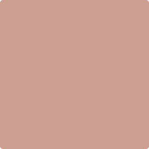 Visico Solid Color Background-Cocoa (3 x 5 m)