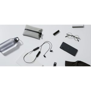 Sony WI-C100 Wireless In-Ear Headphones