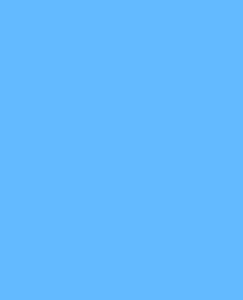 Visico Solid Color Background-Light Blue (3 x 5 )