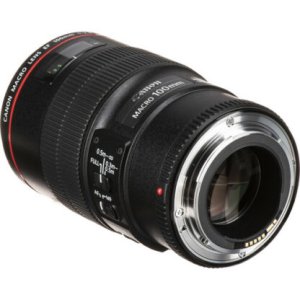 Canon EF 100mm f 2.8 L macro IS USM