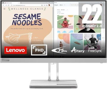 Lenovo L22e 40 21.45 inch FHD Monitor Cloud Grey
