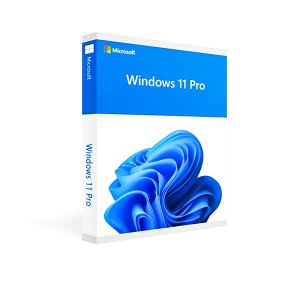 Windows 10 and 11 pro key