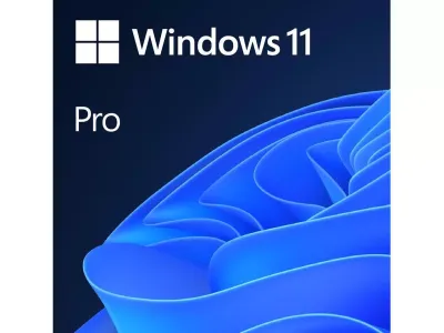 Windows 11 pro 64 bits (disk)