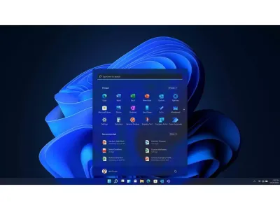 Windows 11 pro 64 bits (disk)